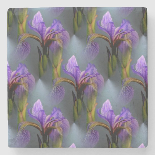 Blue Flag Iris Flower Nature Art Pattern Stone Coaster (Front)
