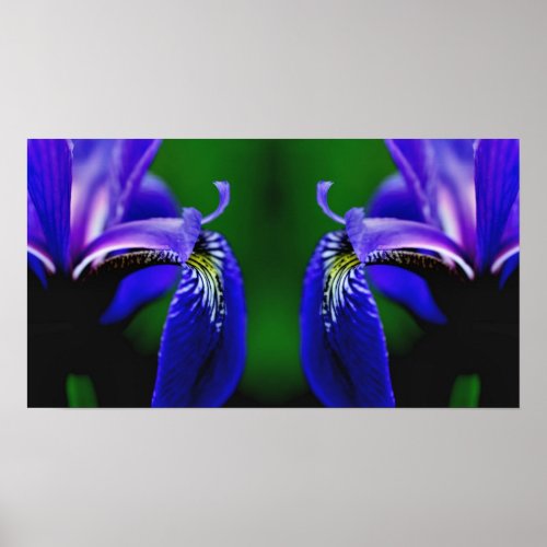 Blue Flag Iris Flower Petal Mirror Abstract Poster