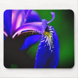 Blue Flag Iris Flower Petal Mouse Pad
