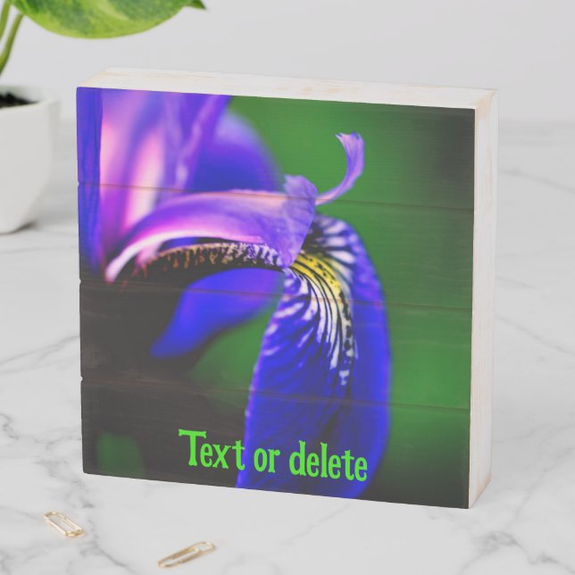 Blue Flag Iris Flower Petal Personalized Wooden Box Sign (In Situ Horizontal)