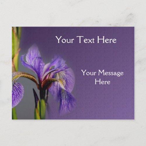 Blue Flag Iris Flower Postcard