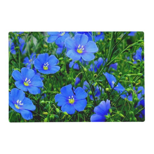 Blue Flax Linum Flowers_PAPER  PLACEMAT