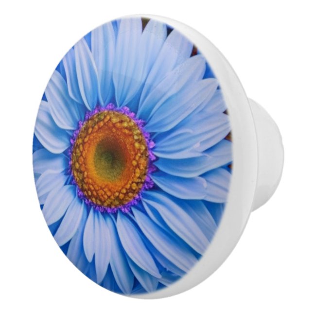 Blue floral blue sunflowers blue daisies pattern  ceramic knob (Right)