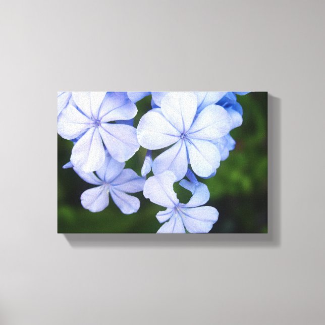 Blue Floral Bokeh Canvas Print (Front)