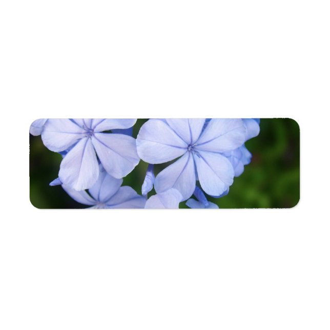 Blue Floral Bokeh Label (Front)
