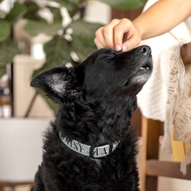 Blue Floral Coquette | Monogram Collar (Creator Uploaded)