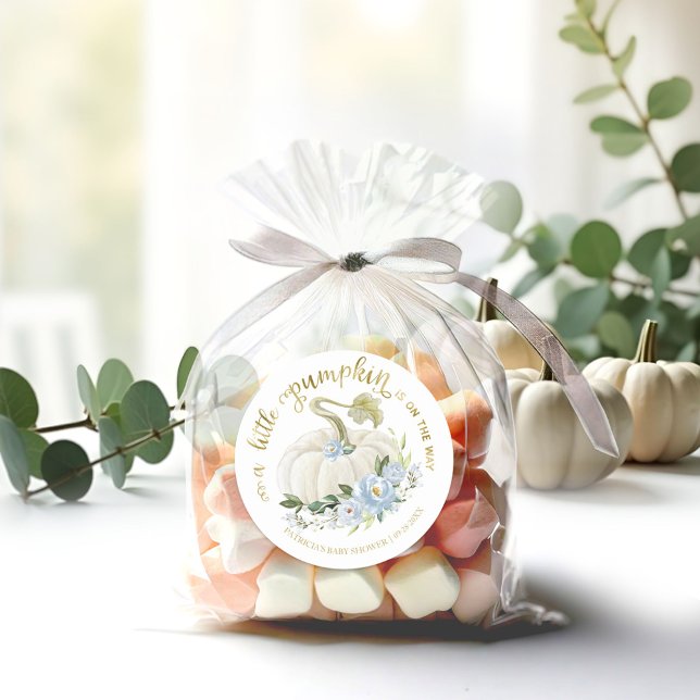 Blue Floral Little Pumpkin Fall Baby Shower Classi Classic Round Sticker (Creator Uploaded)