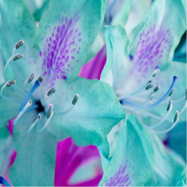 Blue Floral Photo Sculpture (Front)