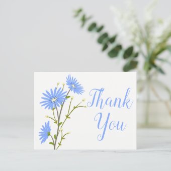 Blue Floral Thank You Daisy Flower Wedding Daisies Postcard | Zazzle