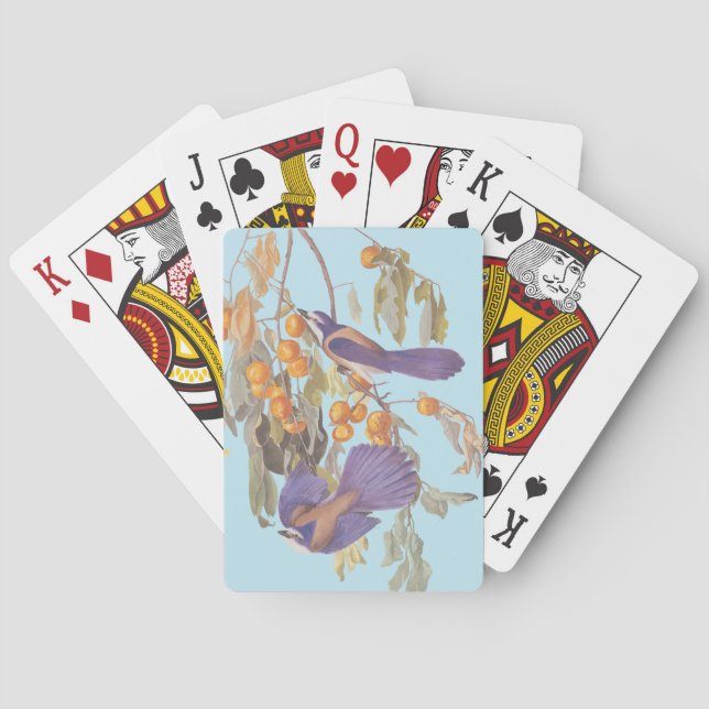 Blue Florida Scrub Jay Audubon Birds with Oranges Poker Cards (Back)