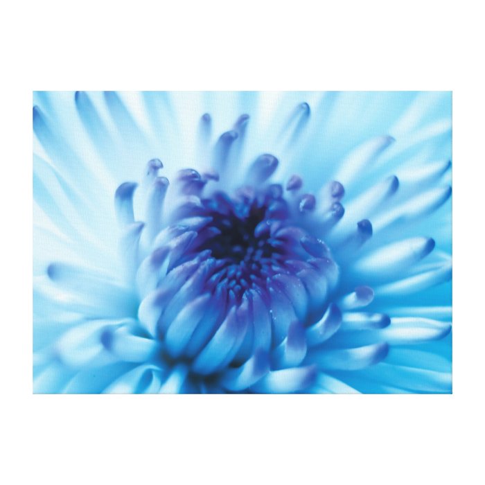 Blue flower canvas print | Zazzle