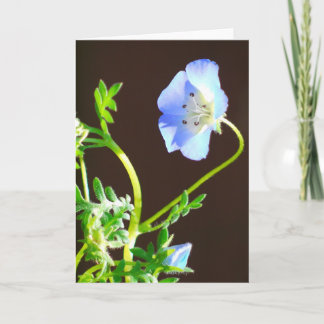 Blue Flower-Card Card