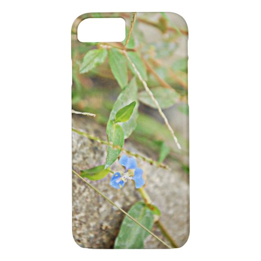 Blue Flower