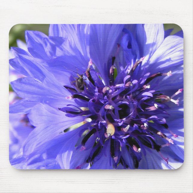 Blue Flower Mouse Pad (Front)