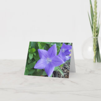 Blue Flower Note Card