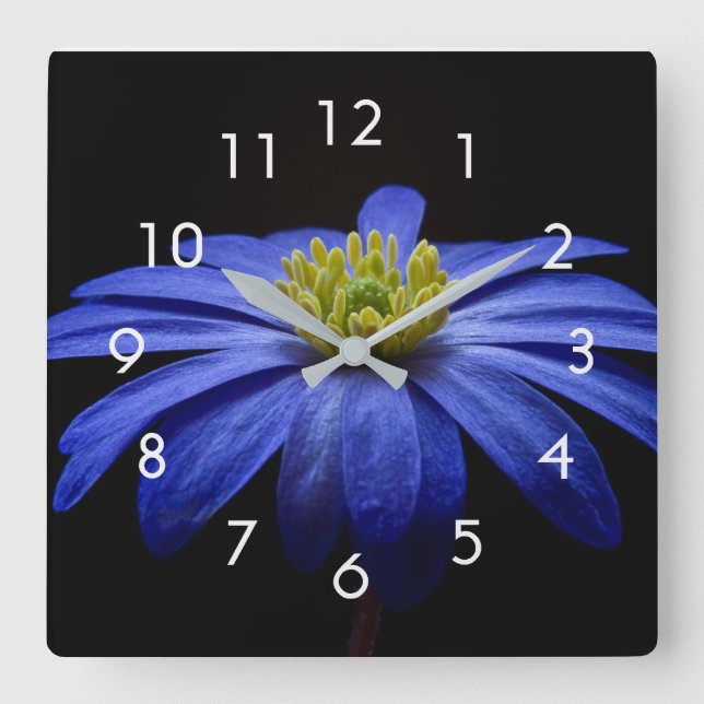 Blue Flower Photo on Black Wall Clock (Front)