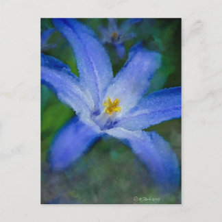 Blue Flower Postcard