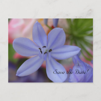 Blue flower Save the Date Postcard