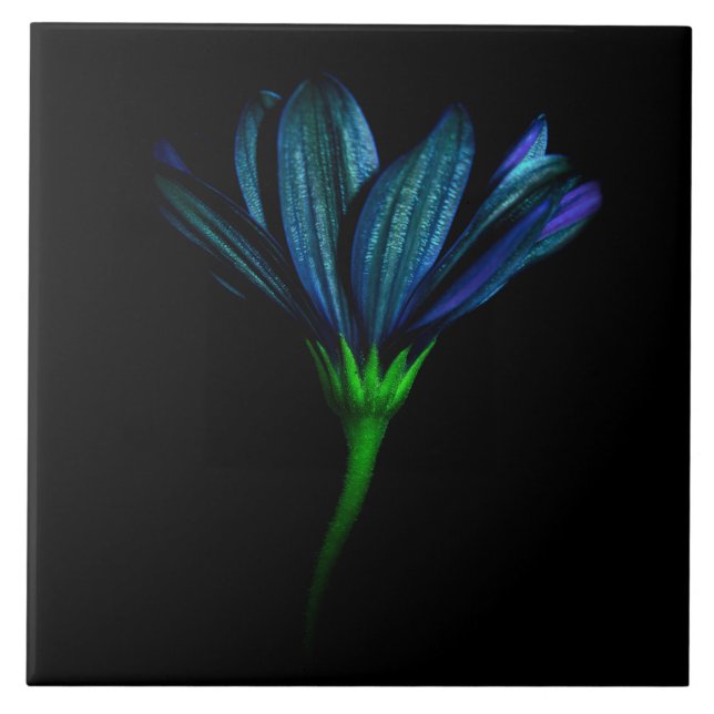 Blue Flower tile (Front)
