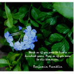 BLUE FLOWERED PHOTO SCULPTURE MAGNET 2x3<br><div class="desc">Wonderful gift.  Magnets quote -"Work as if you were to live 100 years,  pray as if you were to die tomorrow.  While you are buying one of these as gifts for your mom,  grandma,  aunt,  friend and teacher... buy one for yourself too!  ;)</div>