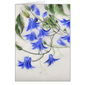 Blue Flowers (Front)