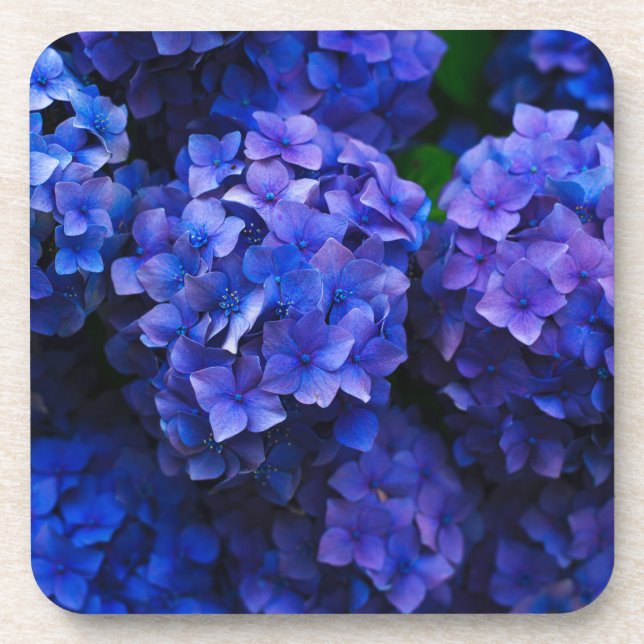 blue flowers beverage coaster (Front)