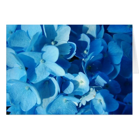 blue flowers cards (Front Horizontal)