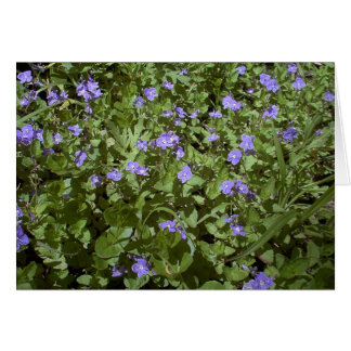 blue flowers cards