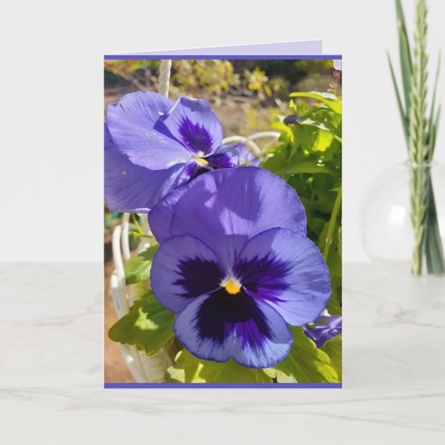 Blue Flowers Floral Pansy Photo Art Card (Front)