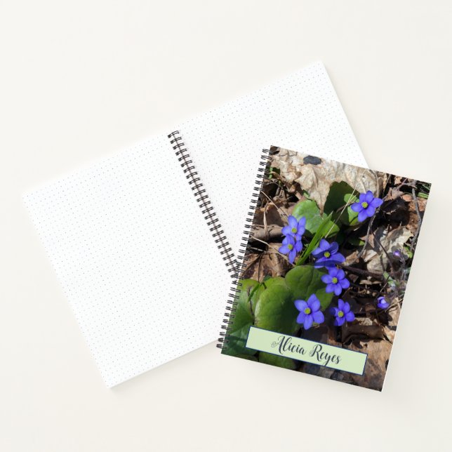 Blue flowers, hepatica notebook (Inside)