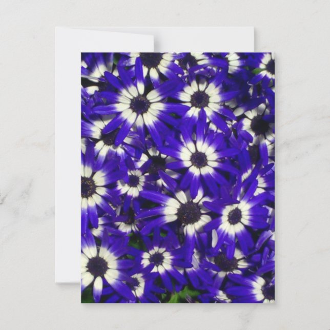 Blue Flowers Invitation (Front)