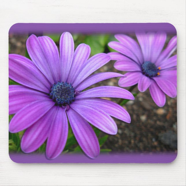 Blue Flowers Mousepad  Daisy Computer Gifts (Front)