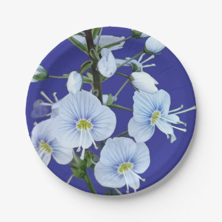 Blue flowers paper plates