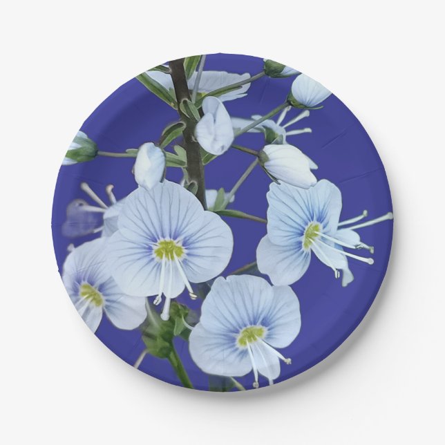 Blue flowers paper plates (Front)