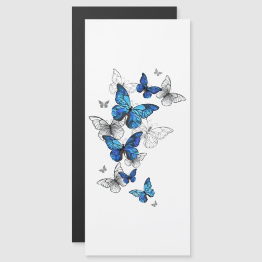 Blue Flying Butterflies Morpho (Front/Back)