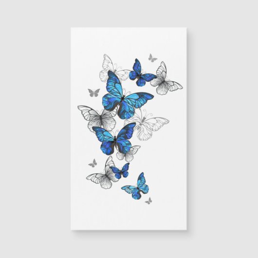 Blue Flying Butterflies Morpho (Front)