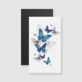 Blue Flying Butterflies Morpho (Front/Back)