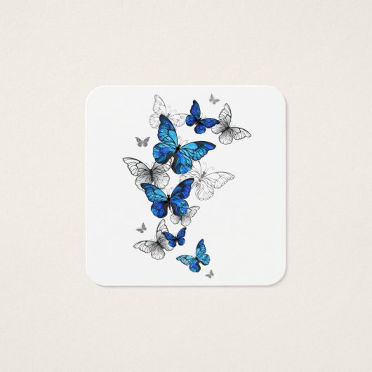 Blue Flying Butterflies Morpho (Front)