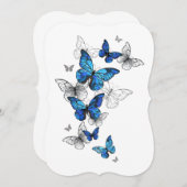 Blue Flying Butterflies Morpho (Front/Back)