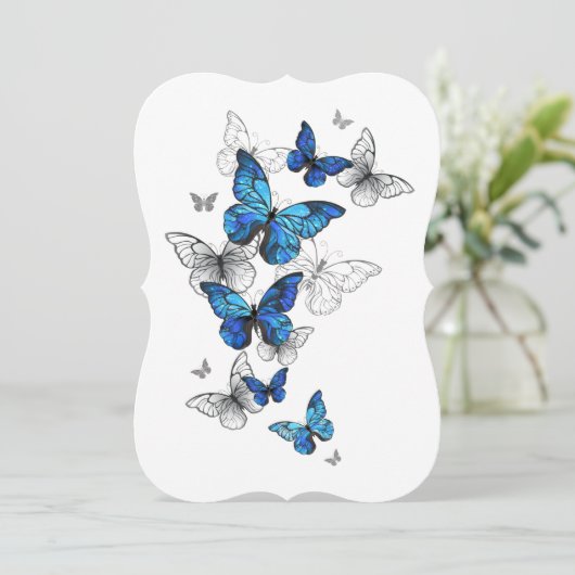 Blue Flying Butterflies Morpho (Standing Front)