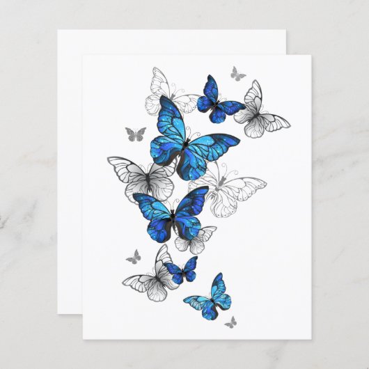 Blue Flying Butterflies Morpho (Front/Back)