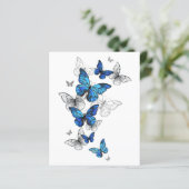 Blue Flying Butterflies Morpho (Standing Front)