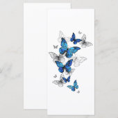 Blue Flying Butterflies Morpho (Front/Back)
