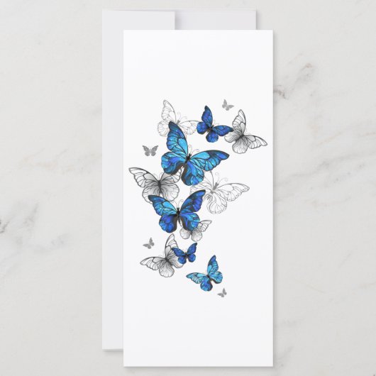 Blue Flying Butterflies Morpho (Front)