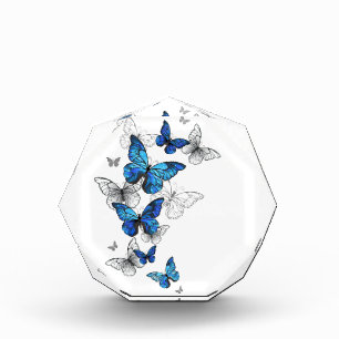 Blue Flying Butterflies Morpho Acrylic Award