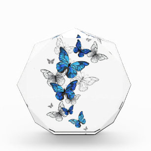 Blue Flying Butterflies Morpho Acrylic Award