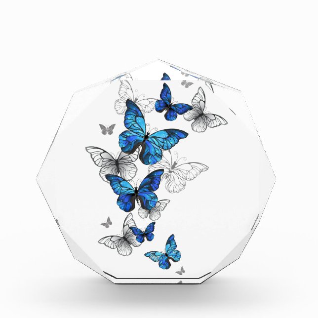 Blue Flying Butterflies Morpho Acrylic Award (Front)