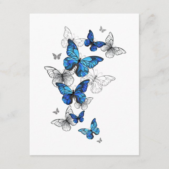 Blue Flying Butterflies Morpho Advice Card (Front)