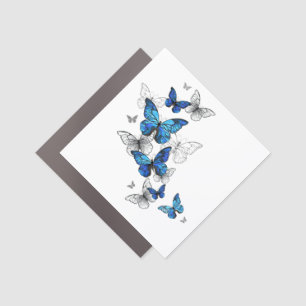Blue Flying Butterflies Morpho Car Magnet