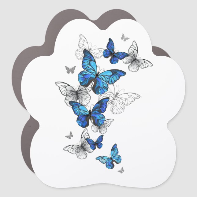 Blue Flying Butterflies Morpho Car Magnet (Front)